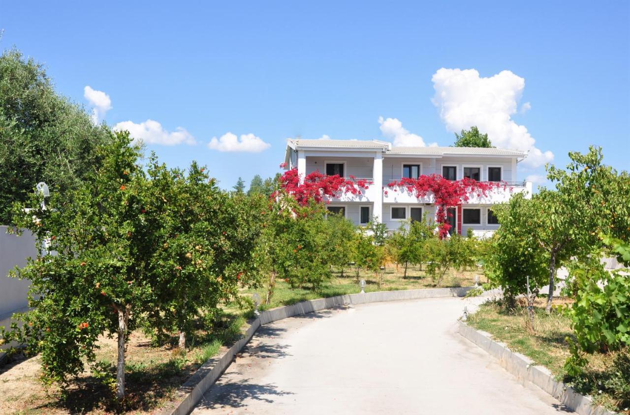 Nostalgia Apartments Zante Dış mekan fotoğraf